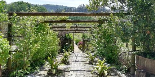 My Portugal for All - Lousada Villa in โลว์ซาดา My Portugal for All - Lousada Villa in โลว์ซาดา