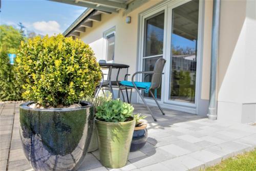 ระเบียง/ชานเรือน, Ferienhaus Paula am Klostersee, Urlaub mit Hund in ดาร์กูน ระเบียง/ชานเรือน, Ferienhaus Paula am Klostersee, Urlaub mit Hund in ดาร์กูน