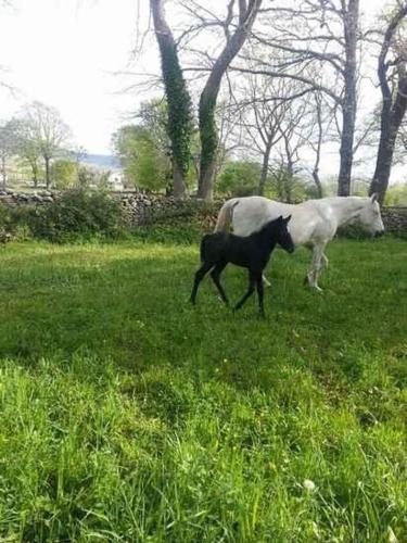 This photo about El Cajigal de Quintana shared on HyHotel.com