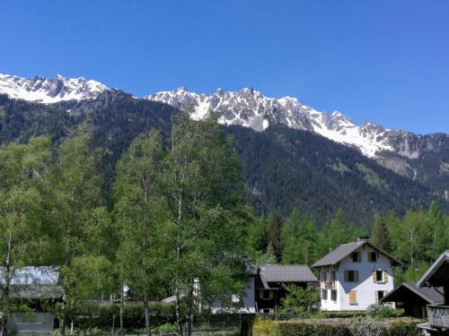 View, Le Chamoniard Volant in La Frasse View, Le Chamoniard Volant in La Frasse