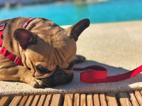 This photo about Hotel Ritual El Palmar-Adults Only shared on HyHotel.com