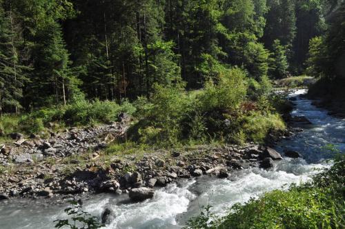 Rekreacijski sadržaji, Ferienwohnung ob Vierwaldsattersee in Isenthal Rekreacijski sadržaji, Ferienwohnung ob Vierwaldsattersee in Isenthal