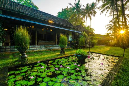 View, d Omah Hotel Yogya in Bantul View, d Omah Hotel Yogya in Bantul