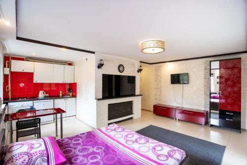 Studio - Koshevogo Street in نيكولايف Studio - Koshevogo Street in نيكولايف