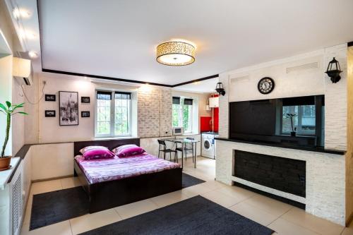 Studio - Koshevogo Street in نيكولايف Studio - Koshevogo Street in نيكولايف