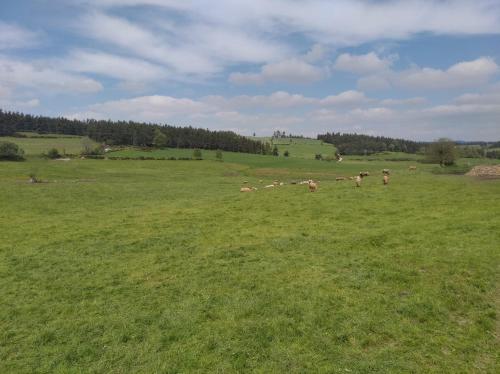 Balcony/terrace, Gite de fontanes aubrac Margeride loups du gevaudan Lozere in Laguiole Balcony/terrace, Gite de fontanes aubrac Margeride loups du gevaudan Lozere in Laguiole