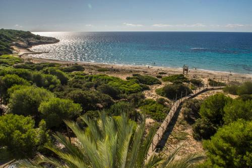 Mediu înconjurător, Hamilton Court in Menorca Mediu înconjurător, Hamilton Court in Menorca