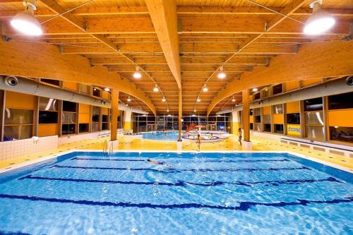 Swimming pool, Villa Lipno Lake in Lipno nad Vltavou Swimming pool, Villa Lipno Lake in Lipno nad Vltavou