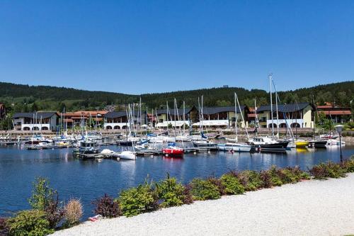 Surrounding environment, Villa Lipno Lake in Lipno nad Vltavou Surrounding environment, Villa Lipno Lake in Lipno nad Vltavou