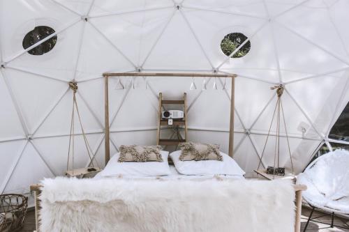 B OUR GUEST at Your cozy hideaway Dome near Dresden in Schwarzheide B OUR GUEST at Your cozy hideaway Dome near Dresden in Schwarzheide