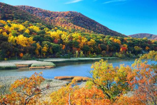 周邊環境, Hyatt House Fishkill in 費西基爾 (NY) 周邊環境, Hyatt House Fishkill in 費西基爾 (NY)