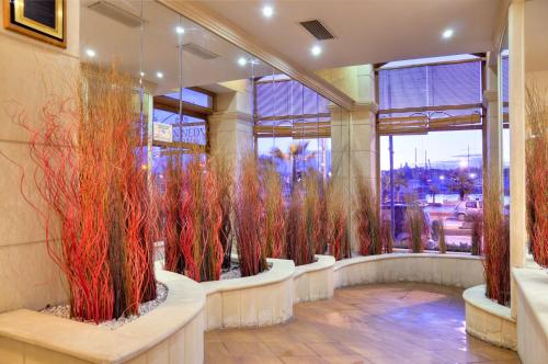 Είσοδος, Hotel Kennedy Nova in Sliema Είσοδος, Hotel Kennedy Nova in Sliema