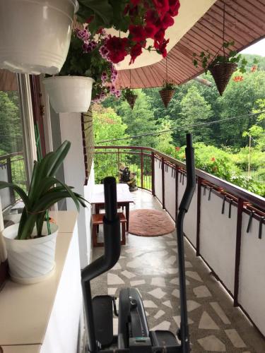Apartament Gratiela in Baile Govora Apartament Gratiela in Baile Govora
