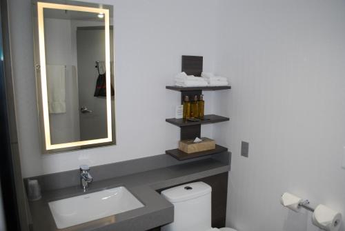 노보텔 오타와 호텔 (Novotel Ottawa Hotel) in 오타와 (ON) 노보텔 오타와 호텔 (Novotel Ottawa Hotel) in 오타와 (ON)