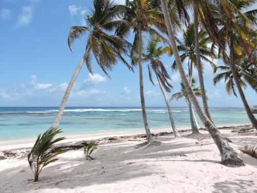 plage, Gîtes Tit anse, L île de Mathilde (Gites Tit anse, L ile de Mathilde) in Capesterre-de-Marie-Galante plage, Gîtes Tit anse, L île de Mathilde (Gites Tit anse, L ile de Mathilde) in Capesterre-de-Marie-Galante