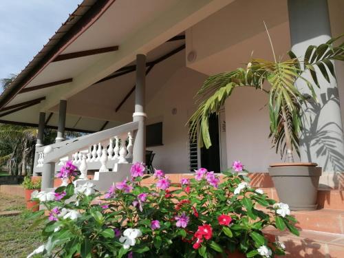 Logement F2 de 100 m carré (Logement F2 de 100 m carre) in Remire-Montjoly Logement F2 de 100 m carré (Logement F2 de 100 m carre) in Remire-Montjoly