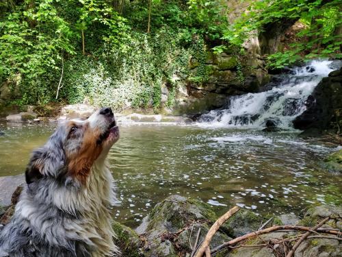 A környék, Housuv Mlyn in Tábor A környék, Housuv Mlyn in Tábor