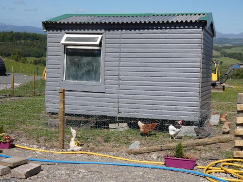 The Arns Glamping Pods in Bridge of Allan The Arns Glamping Pods in Bridge of Allan