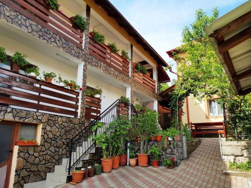 Pensiunea Dana in Horezu Pensiunea Dana in Horezu