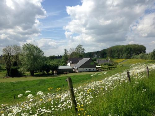 Surrounding environment, Dreumelse Waard in Dreumel Surrounding environment, Dreumelse Waard in Dreumel