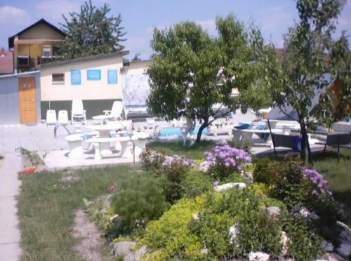 This photo about Viktoria Vendeghaz shared on HyHotel.com