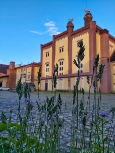 Közeli látványosságok, Apartmany Pod Kouli in Domanin Közeli látványosságok, Apartmany Pod Kouli in Domanin