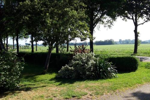 Surrounding environment, Sallands rust en relax plekje in Wijhe Surrounding environment, Sallands rust en relax plekje in Wijhe