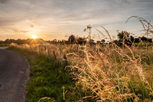 Studio Nathalie et Sebastien in La Brede Studio Nathalie et Sebastien in La Brede