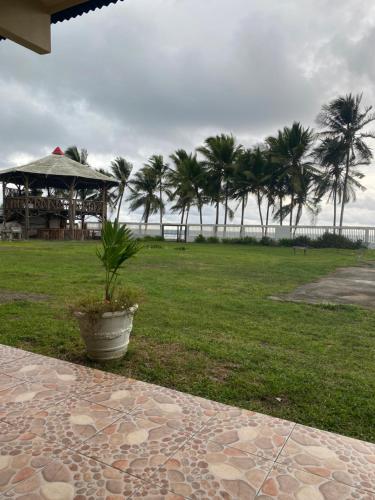 Gallina E Palo Beachfront Hotel in ハコ Gallina E Palo Beachfront Hotel in ハコ
