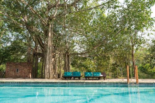 Swimming pool, Kaav Safari Lodge, Kabini in Nagarhole Swimming pool, Kaav Safari Lodge, Kabini in Nagarhole