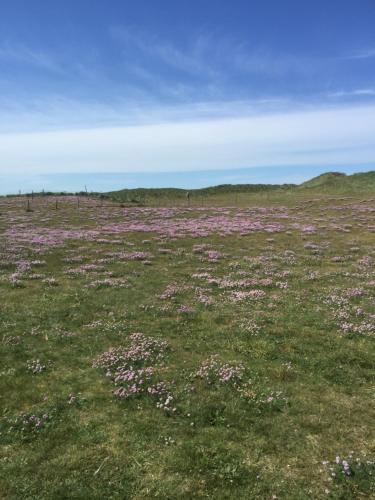 Løkken Strand Camping (Empty Lot) in Lokken Løkken Strand Camping (Empty Lot) in Lokken