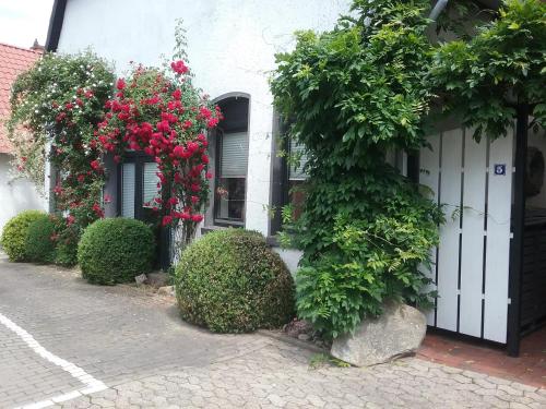 Buitenkant, Altstadt-Apartment Petershagen in Petershagen Buitenkant, Altstadt-Apartment Petershagen in Petershagen