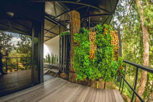 Mumu by Bernalo Hotels in Guatape Mumu by Bernalo Hotels in Guatape