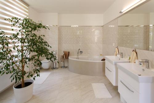 Apartments Villa Whitehouse in มาเรียนสเก้ Apartments Villa Whitehouse in มาเรียนสเก้