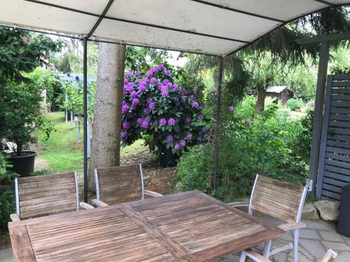 Kunsthaus mit Gartensauna in Dierdorf Kunsthaus mit Gartensauna in Dierdorf