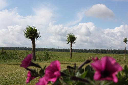Safaritenten Schotererf in Kuinre Safaritenten Schotererf in Kuinre