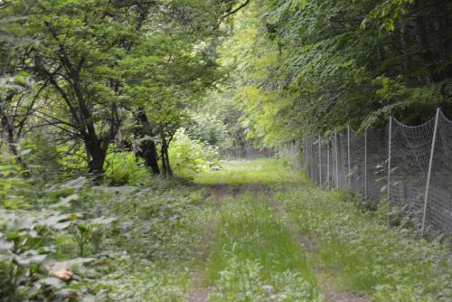 周邊環境, 鹿家 Furano Dear House near 麓鄉展望台 周邊環境, 鹿家 Furano Dear House near 麓鄉展望台