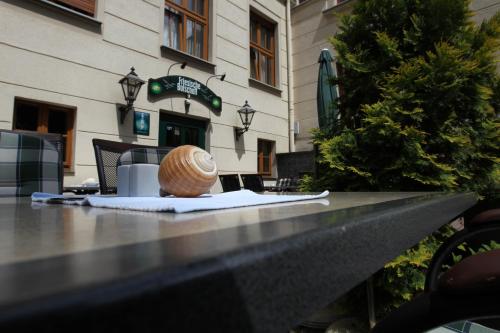 Terraza/balcón, Parkhotel Plauen in Plauen Terraza/balcón, Parkhotel Plauen in Plauen