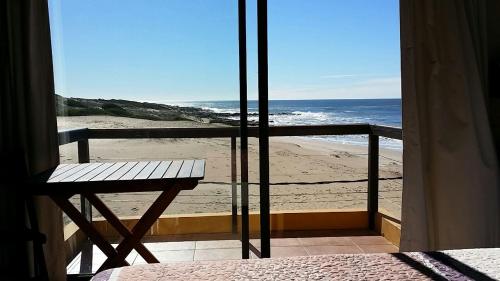 Lobos de Mar in Punta Del Diablo Lobos de Mar in Punta Del Diablo