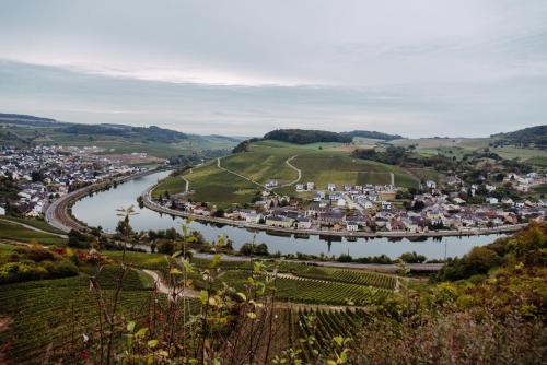 Weingut und Gastehaus Zilliken in Nittel Weingut und Gastehaus Zilliken in Nittel