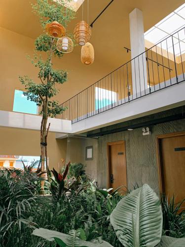 Tampilan eksterior, Cagina Boutique Hostel in Đồng Hới (Quảng Bình) Tampilan eksterior, Cagina Boutique Hostel in Đồng Hới (Quảng Bình)