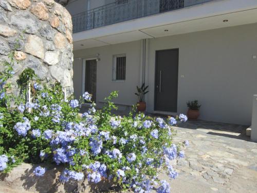 Blue Yard Apartments in พาราเลีย เวอร์กาส Blue Yard Apartments in พาราเลีย เวอร์กาส