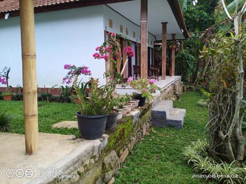 Suweden Homestay