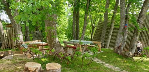 Apartments Javorje Zabljak in Andrijevica Apartments Javorje Zabljak in Andrijevica