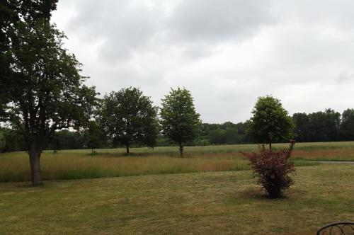 Surrounding environment, Ferienunterkunft "Zur Tenne" in Dahlewitz Surrounding environment, Ferienunterkunft "Zur Tenne" in Dahlewitz
