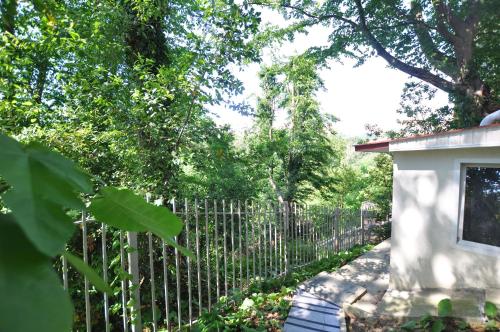 Facilities, Town Park in Sochi Facilities, Town Park in Sochi