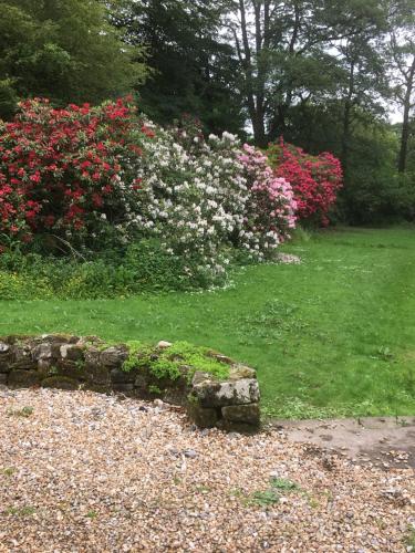 zahrada, Littlebank Country House in Rathmell zahrada, Littlebank Country House in Rathmell