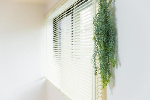 Base Hanegi Apartment in Tokyo Base Hanegi Apartment in Tokyo