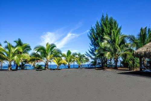 Facilities, TAHITI - Taharuu Houses Surf & Beach in Papara Facilities, TAHITI - Taharuu Houses Surf & Beach in Papara