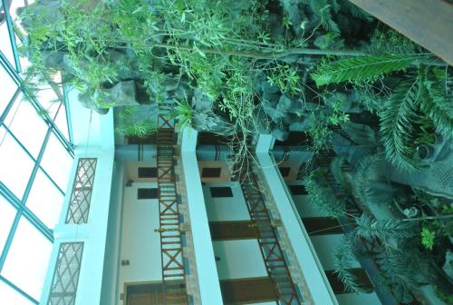 Entrance, Chaikanathani Hotel in Phatthalung City Center Entrance, Chaikanathani Hotel in Phatthalung City Center